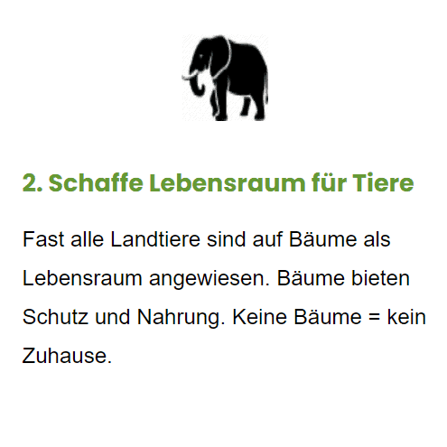 Warum bäume click a tree ways2leads pascal mayer - Mobil 2
